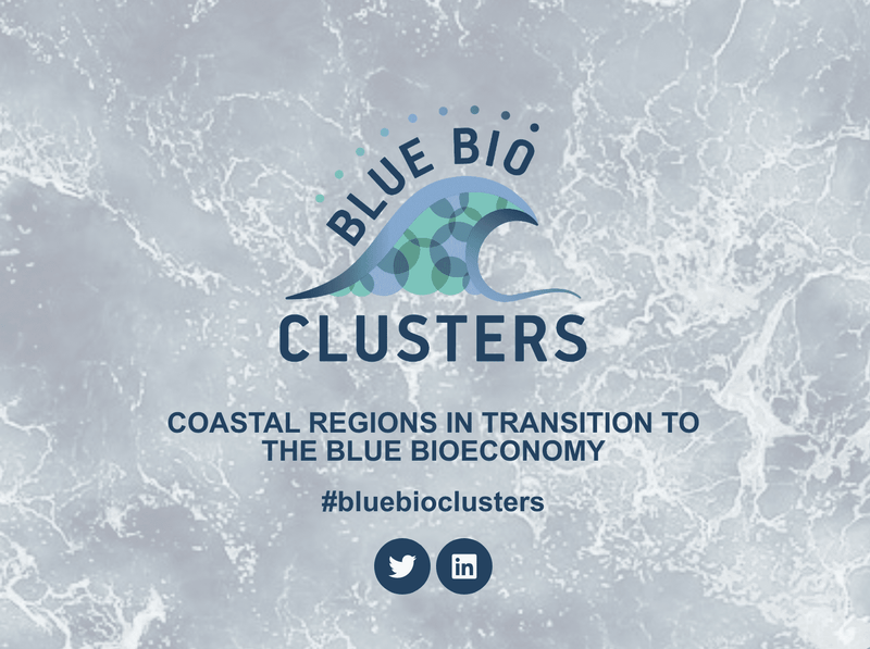 Eylíf is in a Case Study at Blue-Bioeconomy